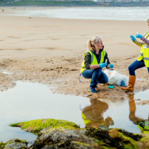 Environmental Compliance Course