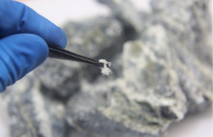 Asbestos Awareness Course