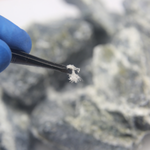 Asbestos Awareness Course