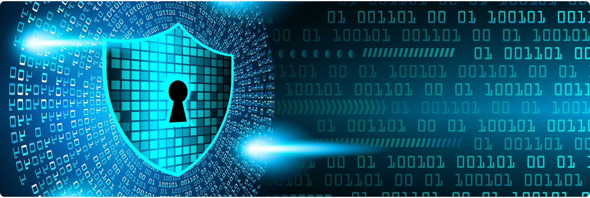 Beyond the Firewall: Why Your Team is Your Strongest Cyber Defence